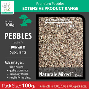 100 grams Naturale Mixed 5mm pebbles
