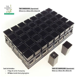 40-Cell Air Pruning Tray with 40mm Square Black Plastic Tube Pots