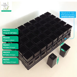 40-cell Air Pruning Plastic Trays with 40mm BLACK Tube Pot Sets. Seeds cuttings