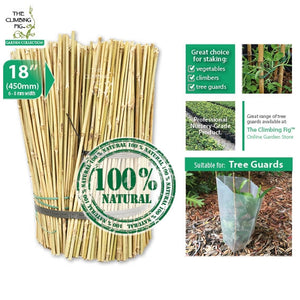 45cm Bamboo Stakes Natural 6-8mm Thick