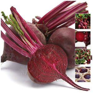 Beetroot Giant Victorian Seeds