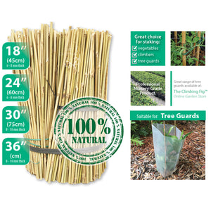 NATURAL Bamboo Stakes - 45cm, 60cm, 75cm or 90cm. Garden tree climber trellis