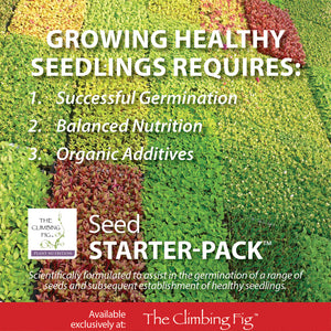 Seed Starter Pack (Pack B) with Seed Jump-Starter Fertiliser & Vermiculite