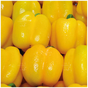 Capsicum Bell Yellow Seeds