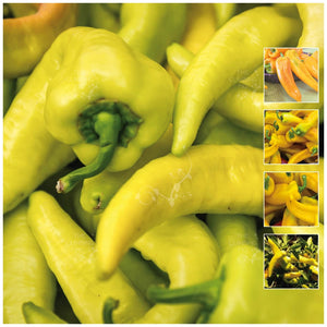Capsicum Long Sweet Yellow Pepper Seeds