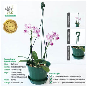 140mm Round Plastic Hanging Baskets Dark Green