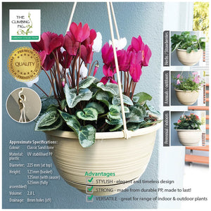 225mm Round Plastic Hanging Baskets Classic Sandstone