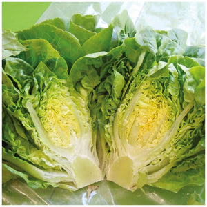 Lettuce Little Gem Mini Cos Seeds