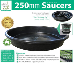 Black Plastic Pot Saucers Range. For 130mm 140mm 175mm 200mm 250mm & 300mm pots