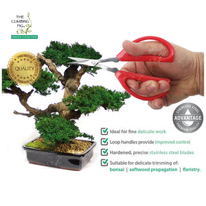 Stainless Steel Garden Snips - Small