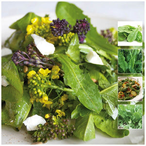 Sorrel French Green De Belleville Seeds