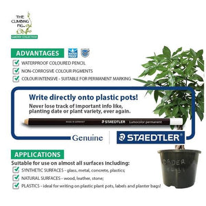 Staedtler Lumocolor Permanent WHITE Glasochrom Pencil. Write on plastic pots