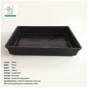 Seedling Trays Solid Hydro Style