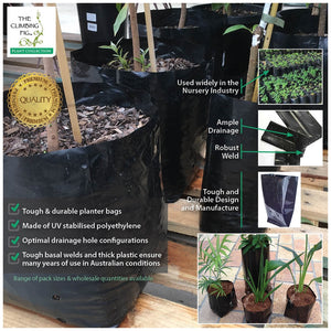1.5 Litre Premium Black Poly Planter Bags
