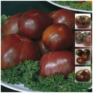 Tomato Black Lisse Seeds