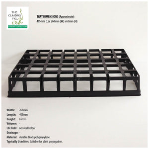 40-Cell Air Pruning Plastic Trays with 40mm Square BLACK Tube Pots Option