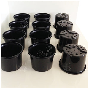 140mm Squat BLACK Plastic Pots. For potting seedlings, garden plants, shrubs