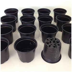 100mm Teku Round BLACK Plastic Pots. Ideal for potting seedlings herb plants