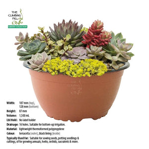 190mm Teku Round TERRACOTTA Plastic Bowl Pots. Succulent, herbs, flowers