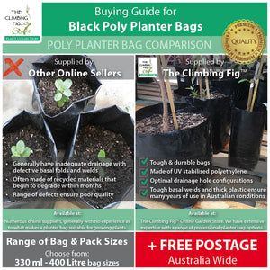 2 Litre PREMIUM Poly Black Planter Bags. Grow herbs, plants, shrubs & trees