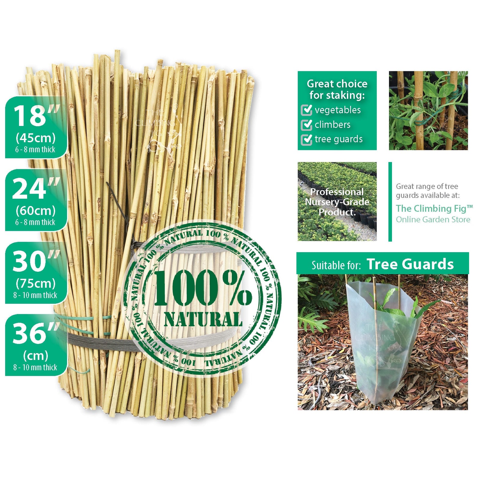 Plant Protection, Ties &amp; Supports