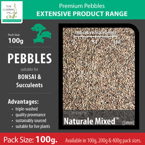 100 grams Naturale Mixed 5mm pebbles