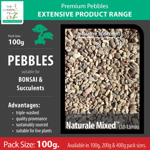 100 grams Naturale Mixed 10-15mm pebbles