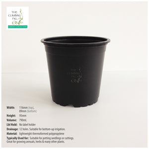 120mm Teku Round BLACK Plastic Pots. Ideal for potting seedlings herb plants