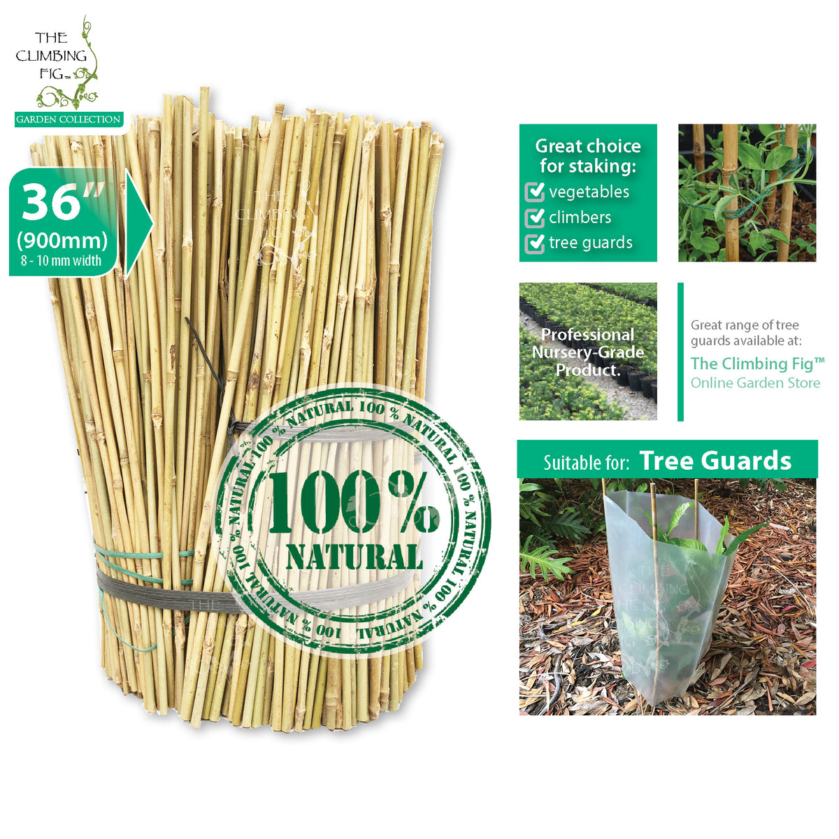 90cm (36&quot;) Bamboo Stakes NATURAL 8-10mm Thick. Vegetables garden trellis