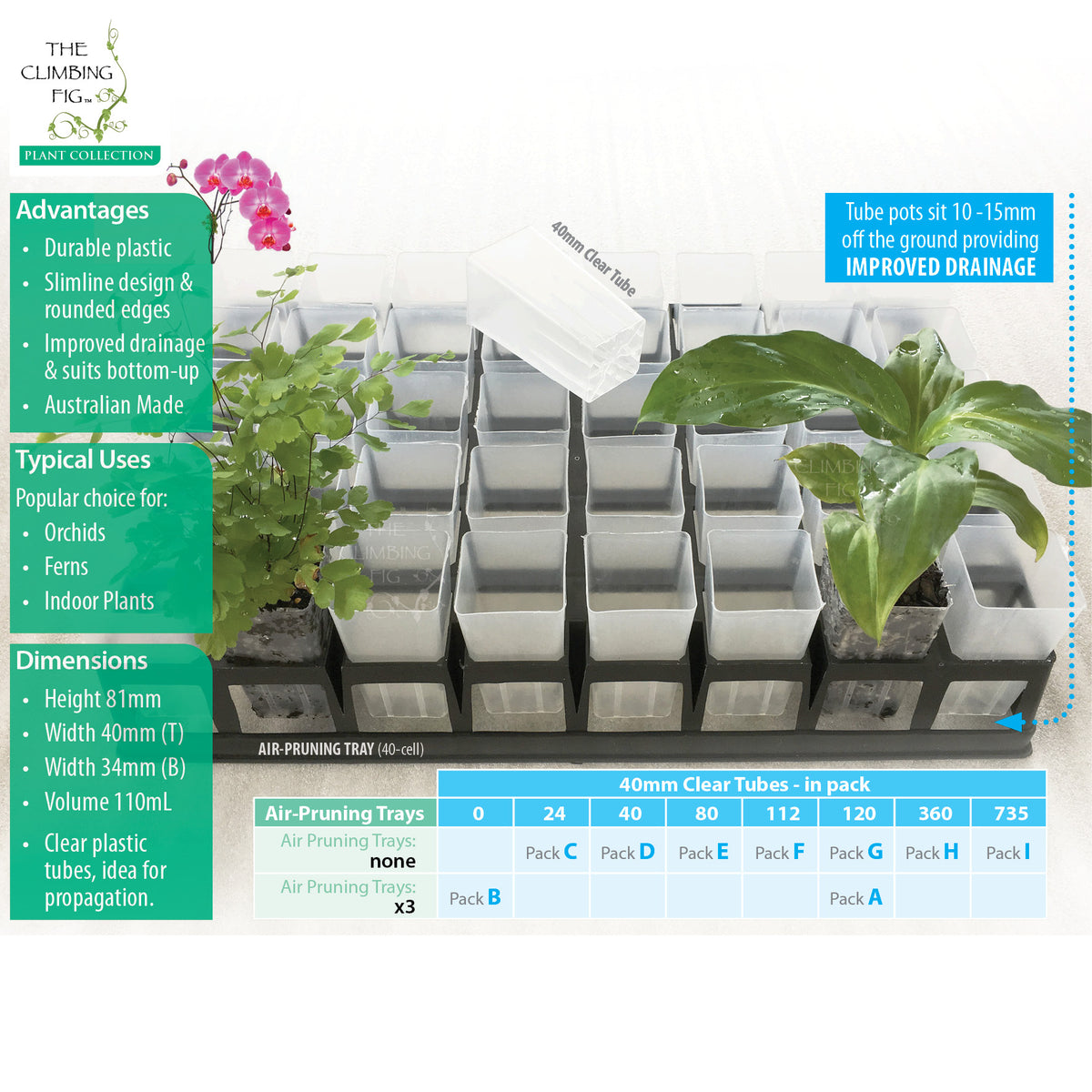 40-Cell Air Pruning Plastic Trays with 40mm CLEAR Tube Pot Sets. Orchids