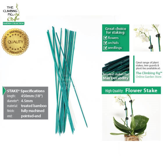 Flower Stakes | Green 45cm long
