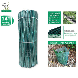 Bamboo Stakes | Green 60cm long, 6-8mm thick