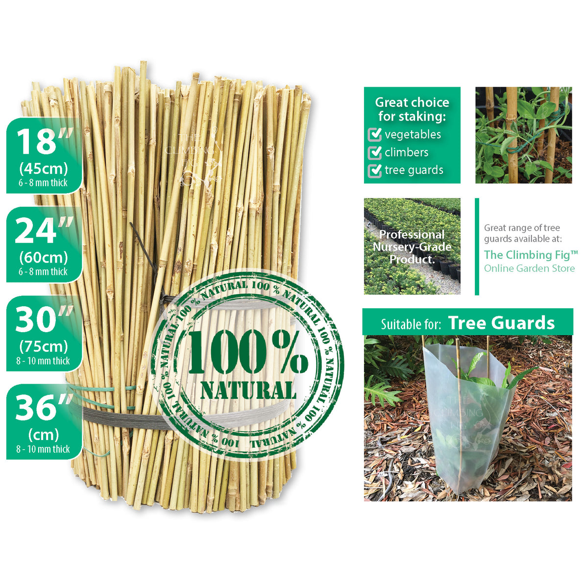 NATURAL Bamboo Stakes - 45cm, 60cm, 75cm or 90cm. Garden tree climber trellis
