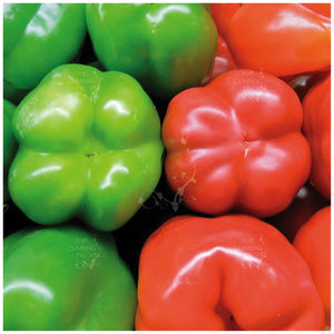 Capsicum Bell Red On Green Seeds