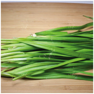 Chives Chivalrous Garlic Seeds