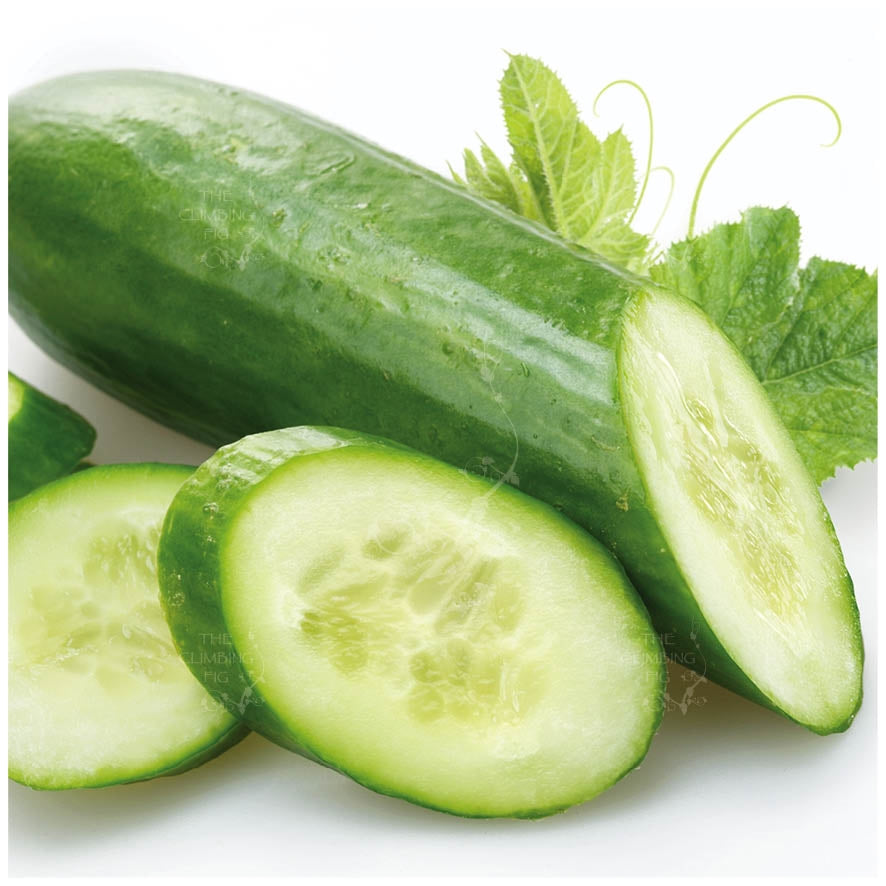 Cucumber Lightning Jack Seeds