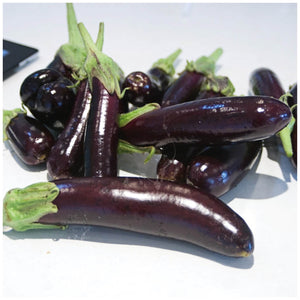 Eggplant Mini Lebanese Seeds