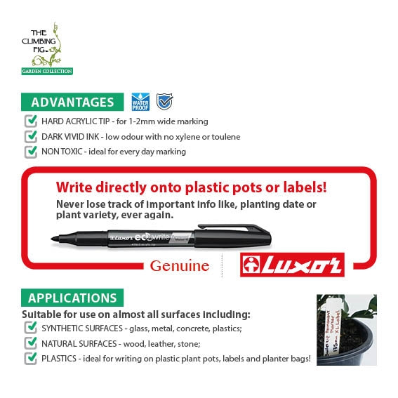 Luxor Permanent Marker Black