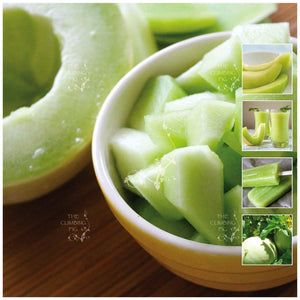Melon Green Bailan Honeydew Seeds