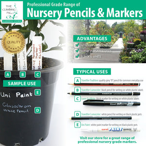 The Climbing Fig Nursery Pencil & Marker Range
