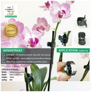 Small Orchid Plant Clips (Green Plastic)