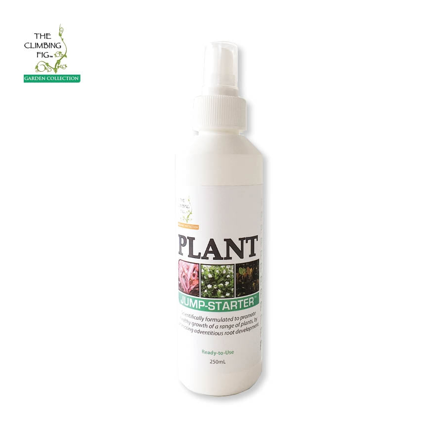 Plant Jump-Starter Ready To Use Spray Bottle