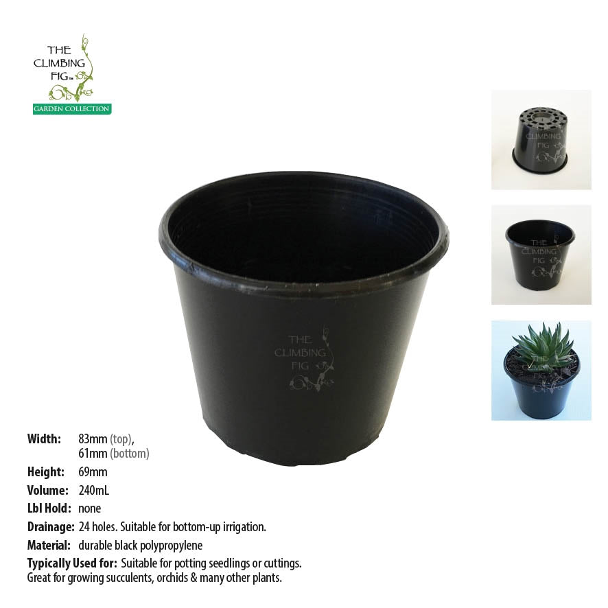 squat plastic plant pots 80mm Squat BLACK Plastic Pots. For potting succulents orchids seedling