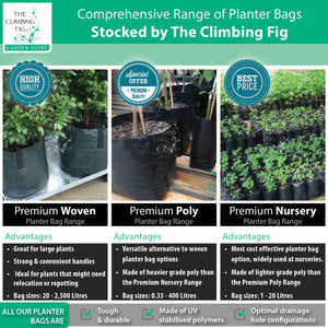 The Climbing Fig Planter Bags Range