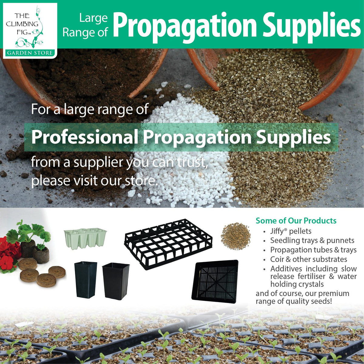 The Climbing Fig Propagation Supplies Range