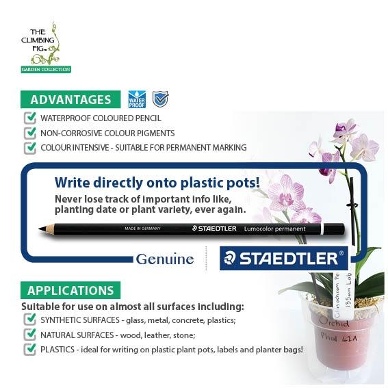 Staedtler Lumocolor Permanent BLACK Glasochrom Pencil. Write on plastic pots