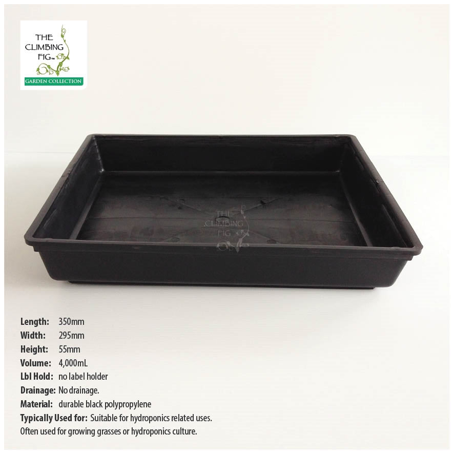 Seedling Trays Solid Hydro Style