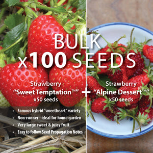 STRAWBERRY BULK Temptation Pack x100 Seeds. Heavy yielding, 2 great varieties