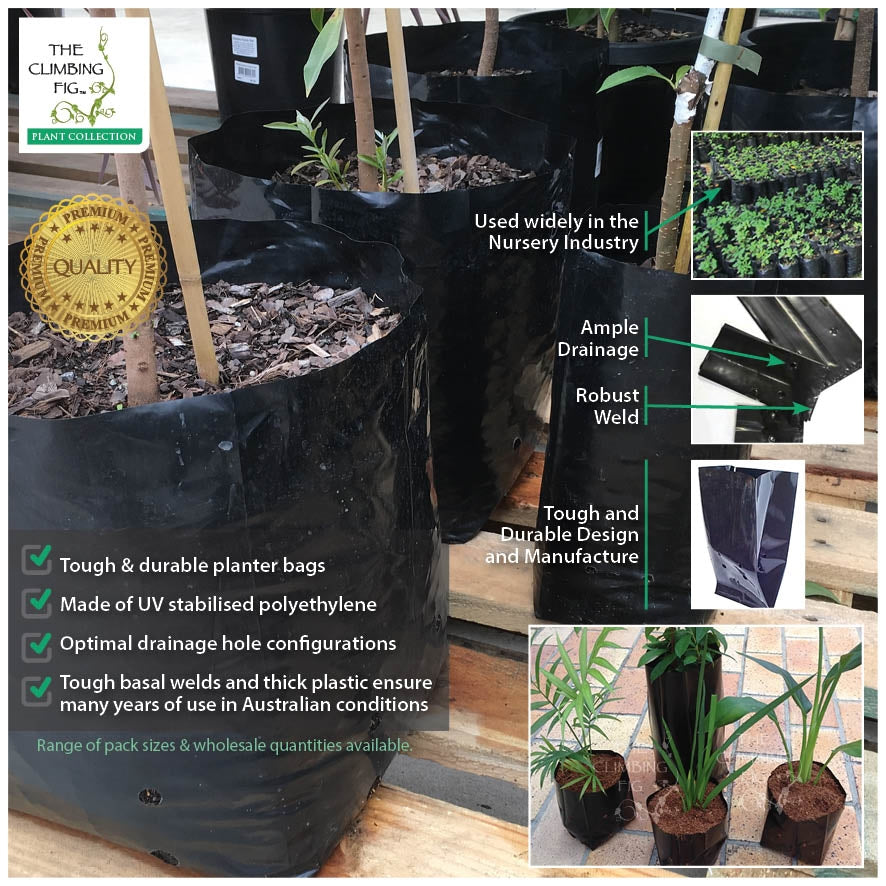 60 Litre Premium Black Poly Planter Bags