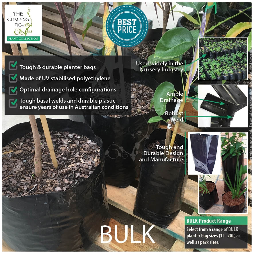 5 Litre Bulk Nursery Black Poly Planter Bags